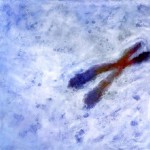 A. M. HOCH, Chromosome in Blue, oil on canvas, 51 x 54 inches, 1998