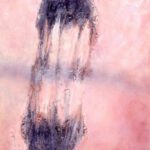 A. M. HOCH, Little Pink, oil on canvas, approximately 36 x 28 inches, 2001