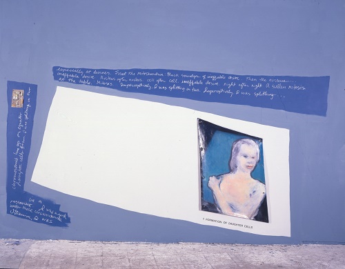 A. M. HOCH, Mitosis (First Stage); installation with oil on canvas with grommets; 96 x 138 inches, 1990