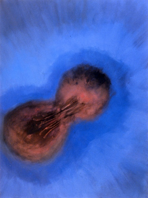 A. M. Hoch, Doubling (blue background), oil on canvas, 36 x 48 inches, 2000