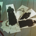 A. M. HOCH, interstices, DETAIL: painted mirrors on floor