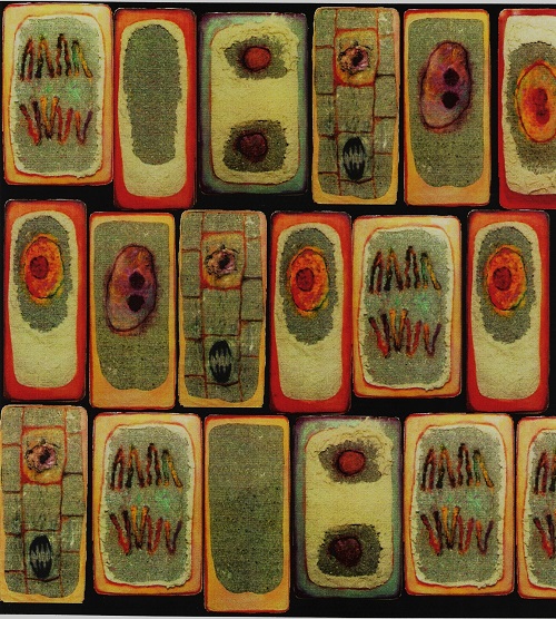 Simulation of potential installation of mattresses (computer-generated image)