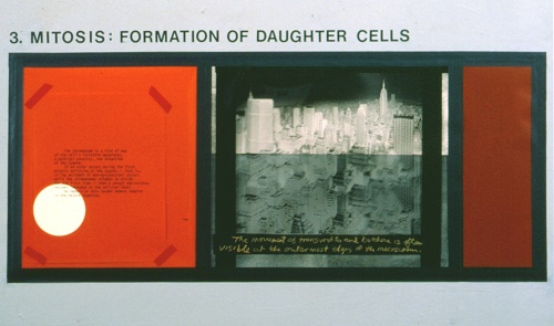 A. M. HOCH, Mitosis (Third Stage) DETAIL of collage with embedded text and photos, 1990