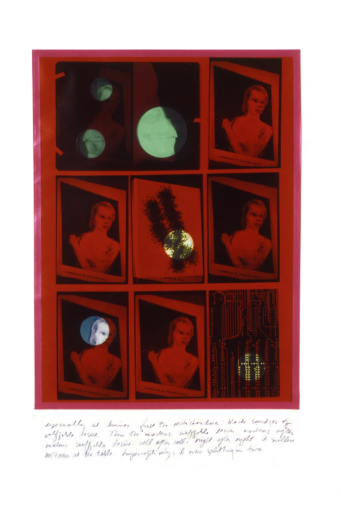A. M. HOCH, Mitosis-collage #2, limited edition of collages including rubylith, colored xeroxes, and handwritten text; 35 x 24 inches, 1990