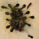 AM HOCH, Weird Triptych for a Young Boat, DETAIL, painted pulleys embedded in resin, 2013